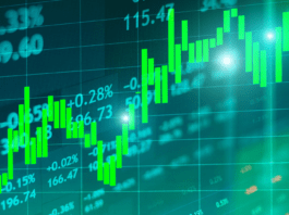 Why Should I Invest in the Stock Market?